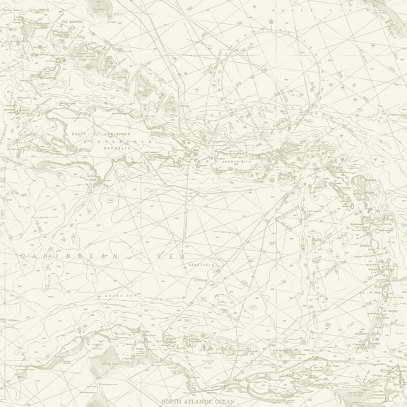 Chesapeake Charts Taupe Nautical Chart Wallpaper