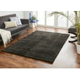 thumbnail image 1 of Chesapeake Microfiber Polyester Shag Anthra Lavish Area Rug (5'x7'), 1 of 6