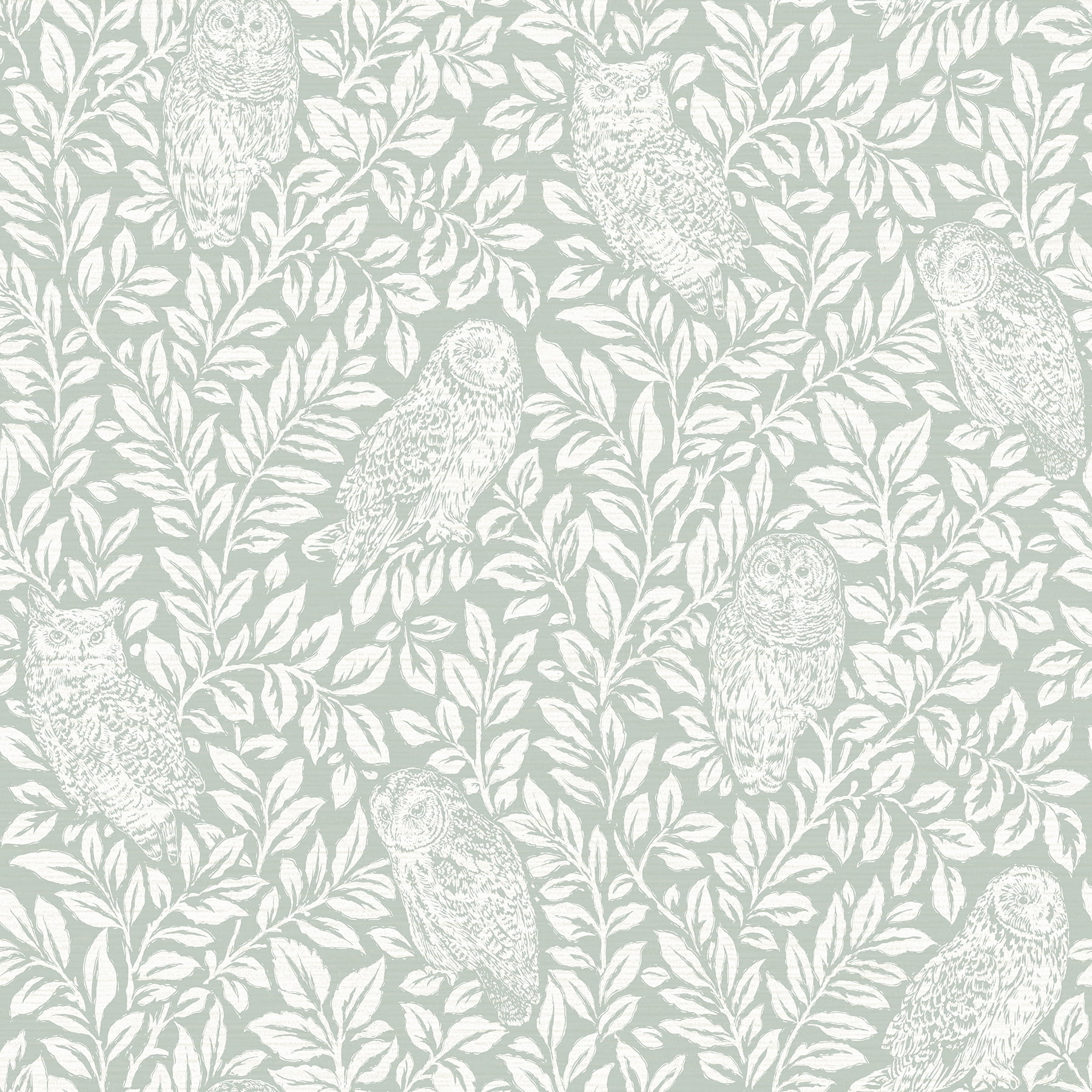 Chesapeake Parliament Teal Owl Prepasted Non Woven Blend Wallpaper, 20.5-in by 33-ft, 56.4 sq. ft.