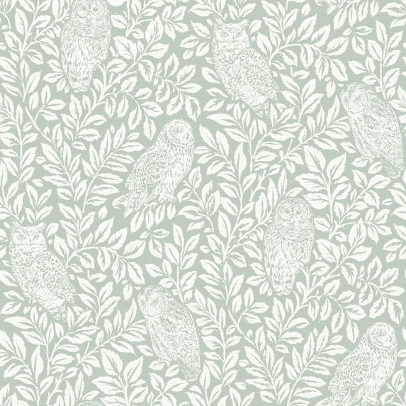 Chesapeake Parliament Teal Owl Prepasted Non Woven Blend Wallpaper, 20.5-in by 33-ft, 56.4 sq. ft.