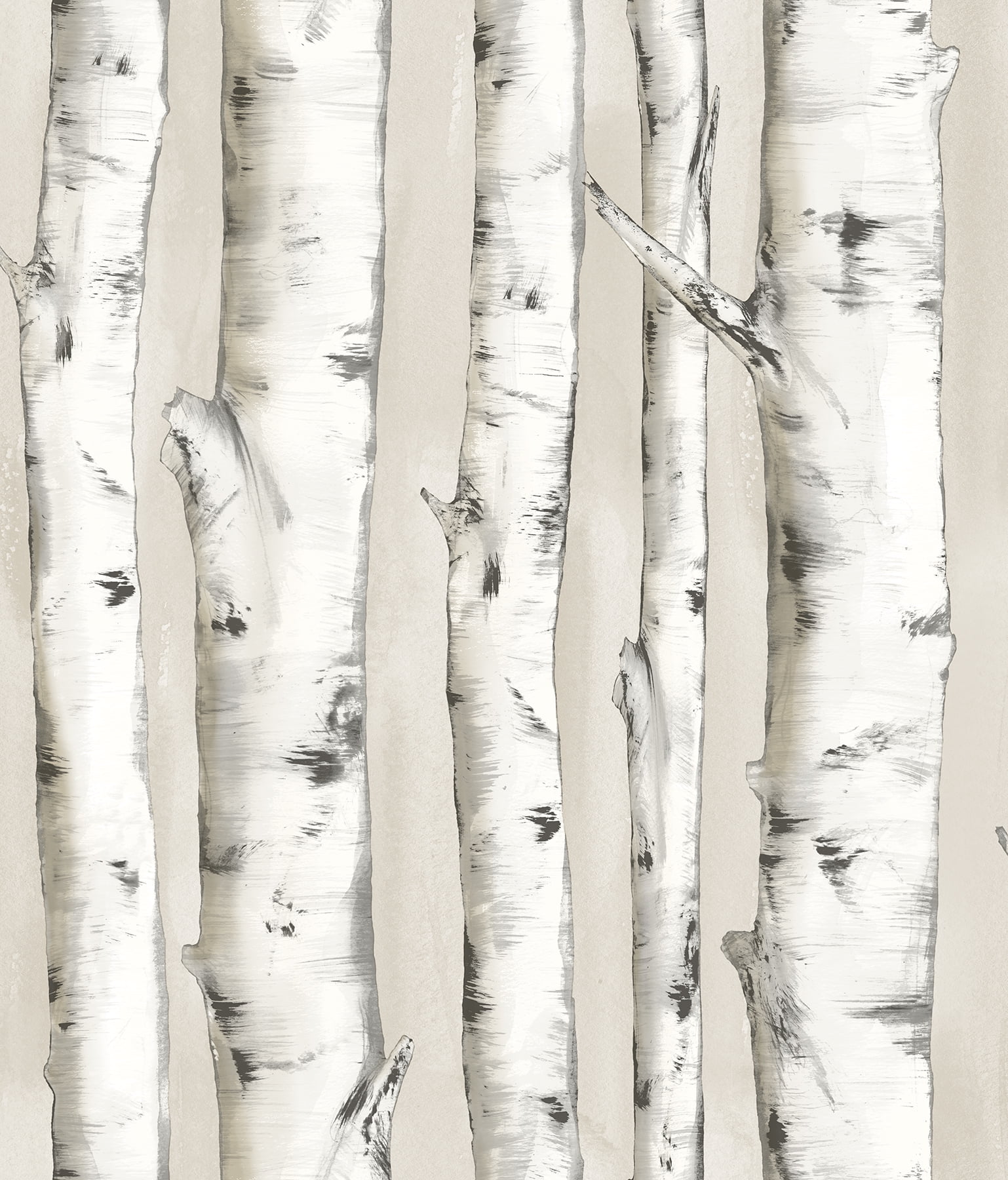 Chesapeake Pioneer Off White Birch Tree Prepasted Easy Walls Wallpaper, 20.5-in by 33-ft, 56.4 sq. ft.