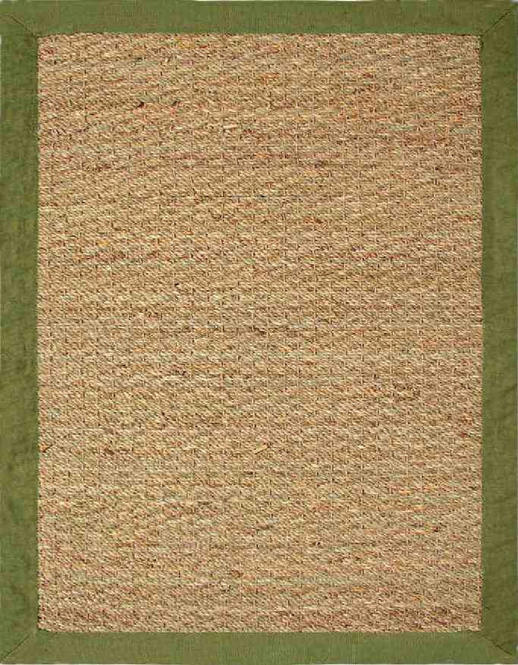 Chesapeake Seagrass Area Rug with Sage Border (24"x36")