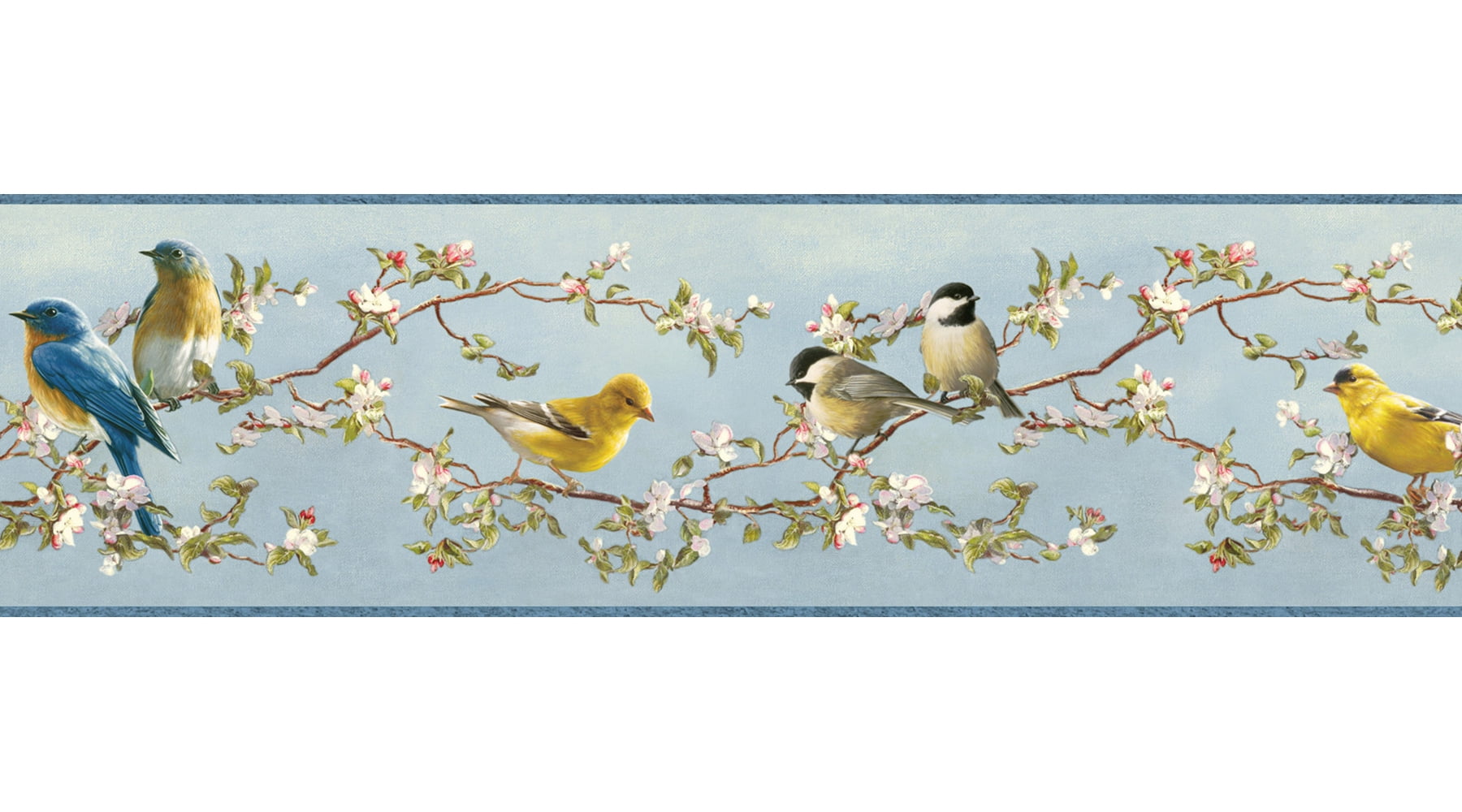 Chesapeake Vandalia Sky Songbird Border Prepasted Non Woven Blend Wallpaper, 6.5-in by 15-ft, 8.1 sq. ft.