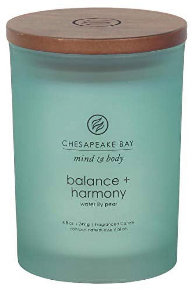 Chesapeake bay candle minCd & body collection medium jar scented candle, balance + harmony - image 1 of 6