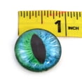 thumbnail image 1 of Cheshire Cat Glass Eyes in Blue and Green, 1 of 4