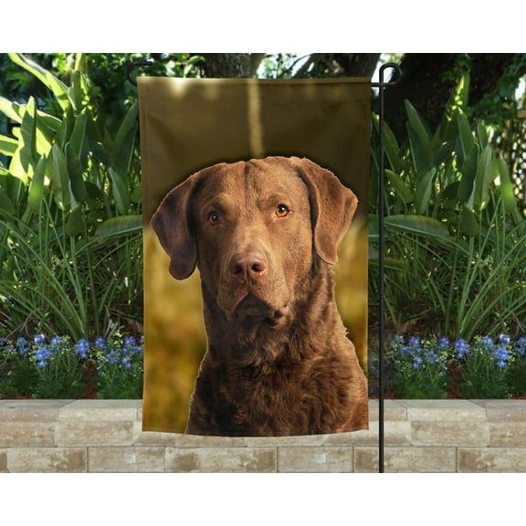 Chespeake Bay Retriever Garden Flag