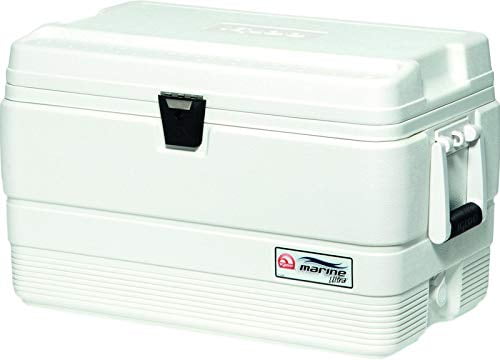 Chest Cooler, Marine, 54 qt., White