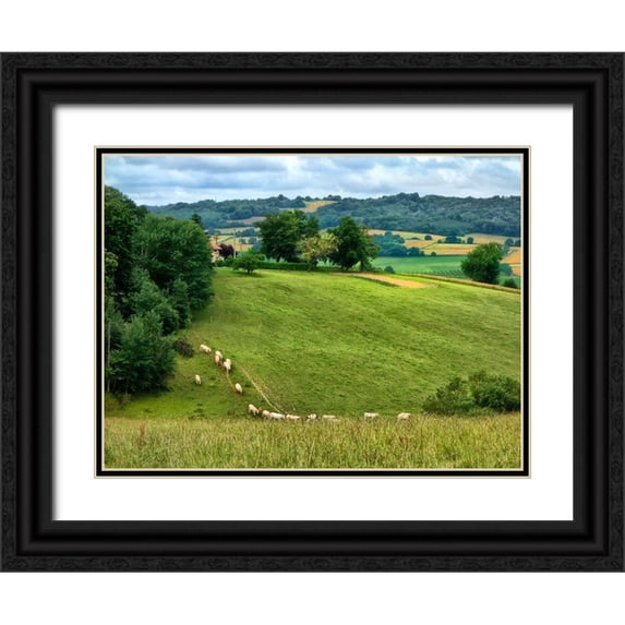 Chester, Colby 14x12 Black Ornate Wood Framed with Double Matting Museum Art Print Titled - Pastoral Countryside V