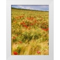 thumbnail image 1 of Chester, Colby 15x18 White Modern Wood Framed Museum Art Print Titled - Poppies in Field I, 1 of 4