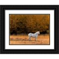 thumbnail image 1 of Chester, Colby 18x15 Black Ornate Wood Framed with Double Matting Museum Art Print Titled - White Horse, 1 of 4