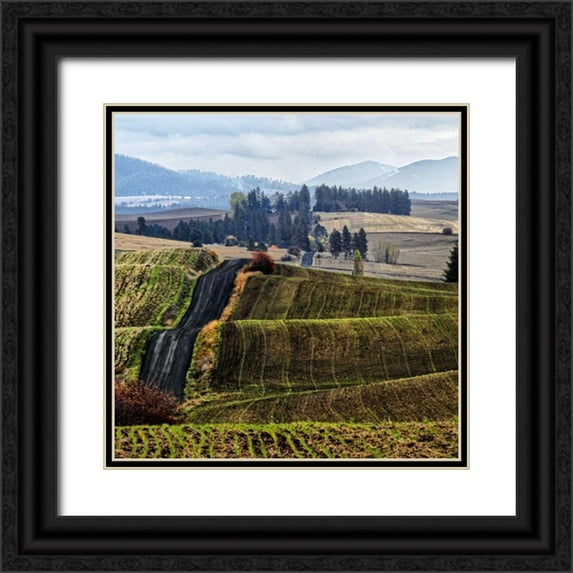 Chester, Colby 26x26 Black Ornate Wood Framed with Double Matting Museum Art Print Titled - Palouse Hills