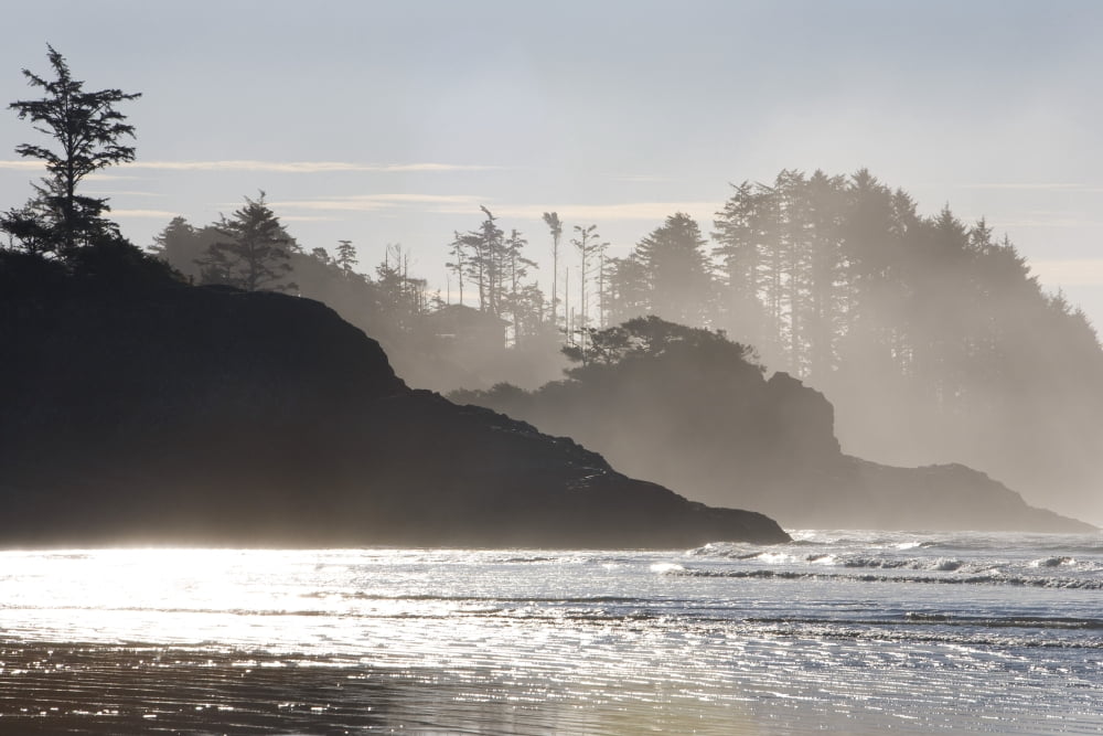 Chestermans Beach Tofino Vancouver Island British Columbia Canada Canvas Art - Deddeda Design Pics (17 x 11)