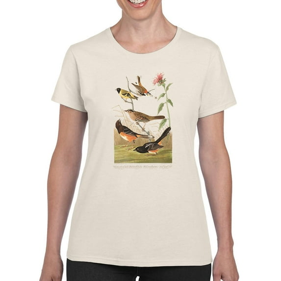Chestnut Coloured Finches T-Shirt Women -John James Audubon Designs, Female 3X-Large