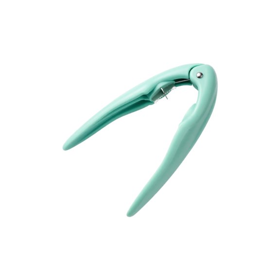 Chestnut Peeler, 2026 New Nutcracker Chestnut Opener Chestnut Cutter Tool,Chestnut Cracker Tool for Chestnut/Pecan/Walnut Without Damaging Chestnuts and Easy to Use (Mint Green)