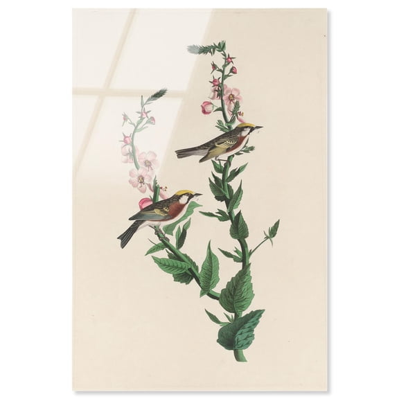 Chestnut Streak Acrylic Print Botanical Art by Art Remedy, Ready to Hang, 20 x 30