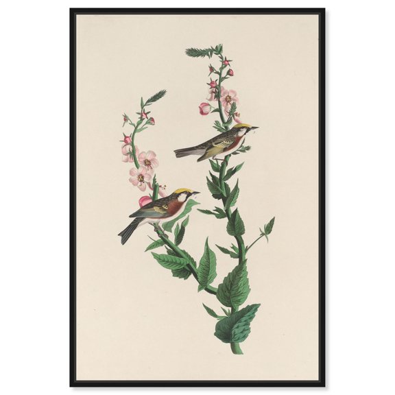 Chestnut Streak Canvas Print Botanical Art by Art Remedy, Black Frame, 36 x 54