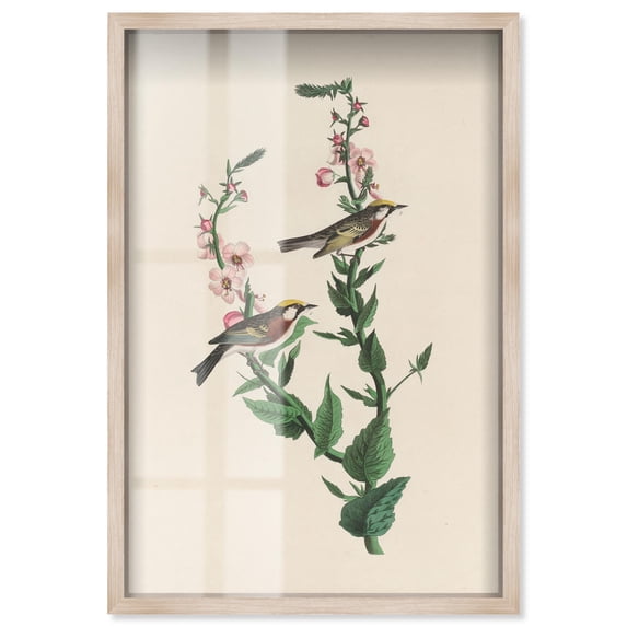 Chestnut Streak Shadowbox Print Botanical Art by Art Remedy, Blonde Frame, 10 x 15
