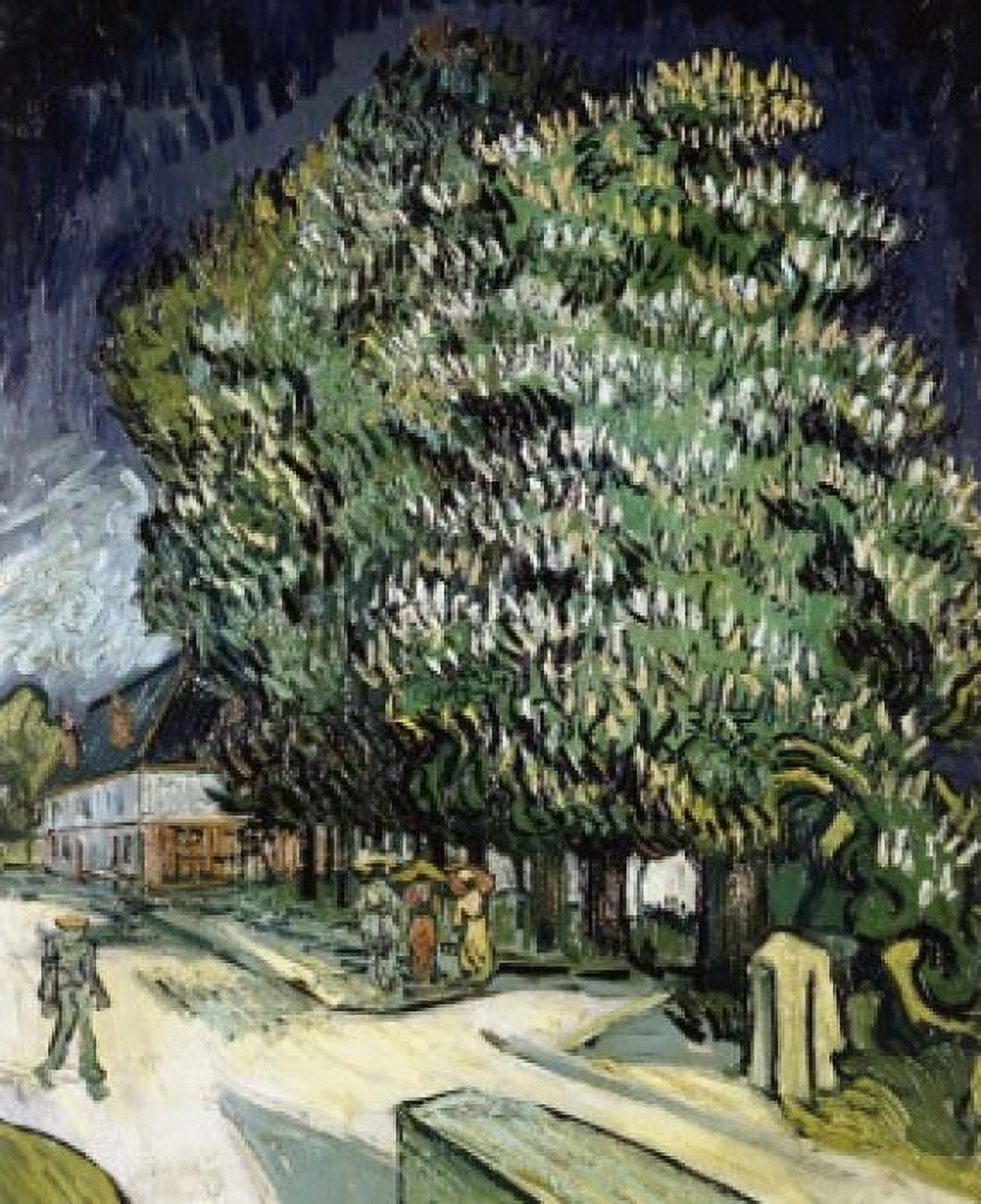 Chestnut Trees in Blossom Auvers-Sur-Oise  1890 Vincent van Gogh (1853-1890Dutch)  Oil on canvas Private Collection South America Canvas Art - Vincent van Gogh (18 x 24)