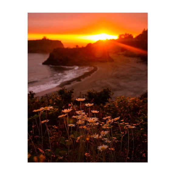 Chetco Point II - Brookings Oregon Photography Sunset Beach Coast Floral Nature Scenic Landscape Unframed Wall Art Print 8 x 10 inches