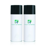 Chevrolet Equinox GXG Iridium Metallic 12oz Aerosol Spray Kit Touch Up