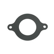 GM Genuine Parts 10088128 Engine Camshaft Retainer Plate