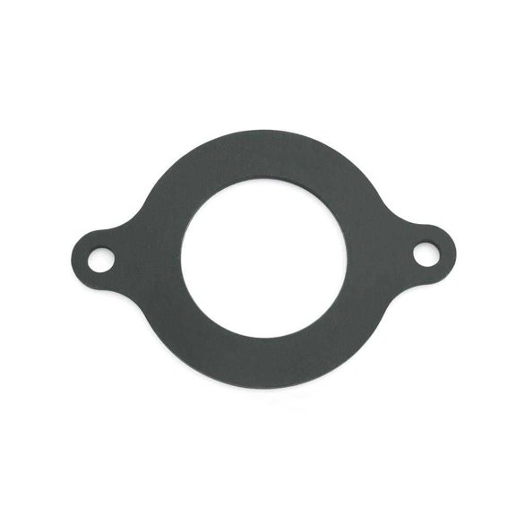 GM Genuine Parts 10088128 Engine Camshaft Retainer Plate