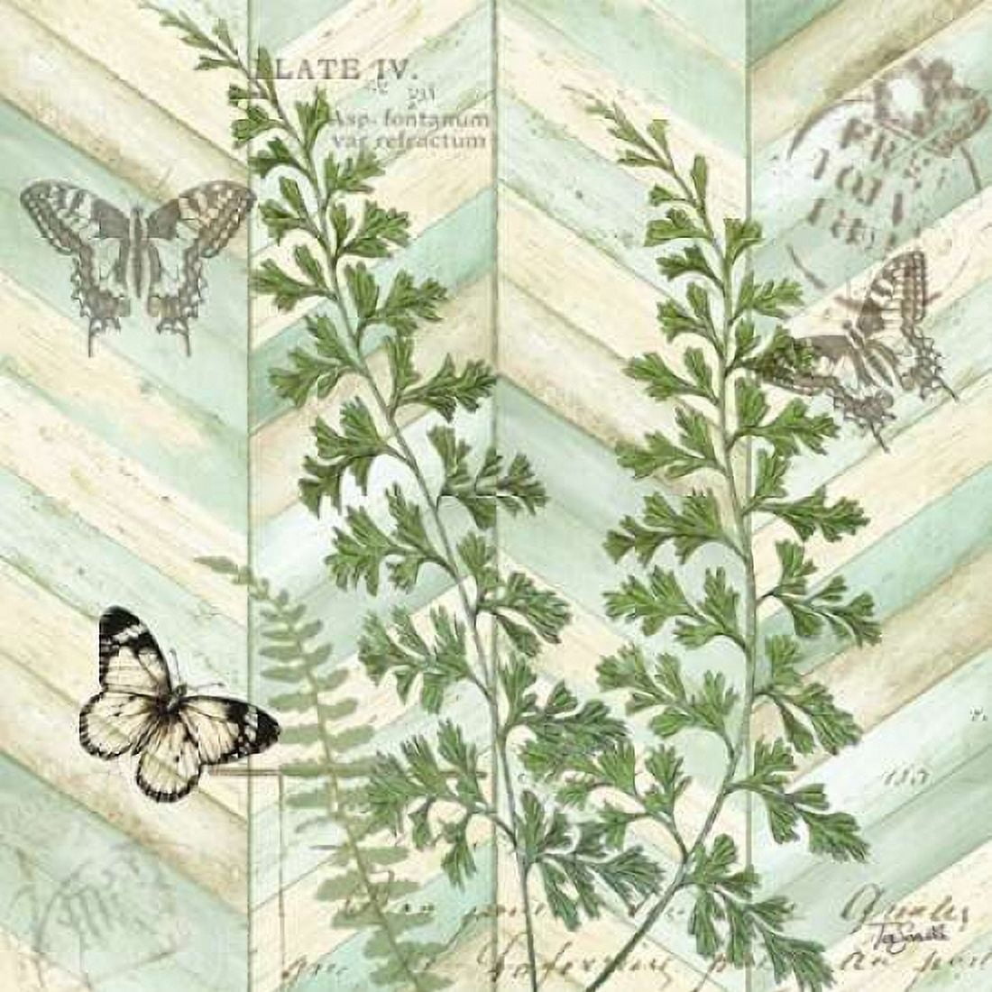Chevron Botanical I Canvas Art - Tre Sorelle Studios (24 x 24)