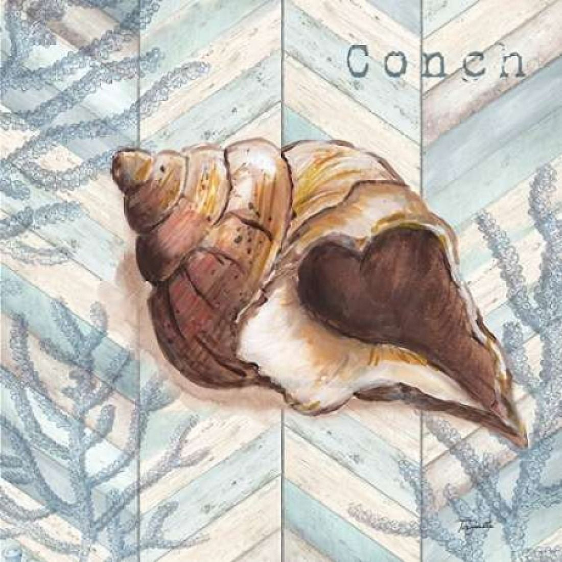 Chevron Shell I Canvas Art - Tre Sorelle Studios (24 x 24)