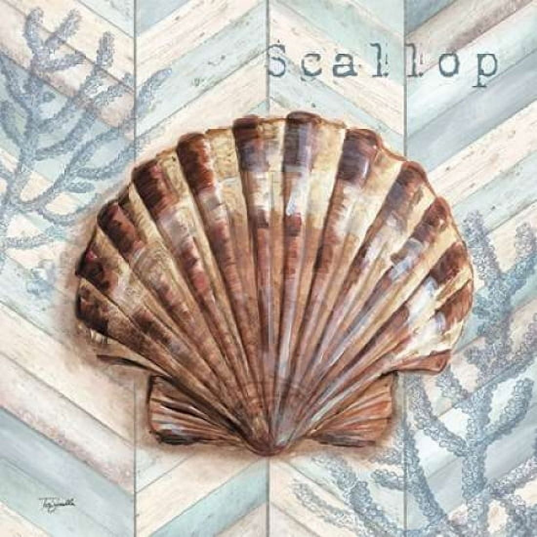 Chevron Shell VI Canvas Art - Tre Sorelle Studios (24 x 24)