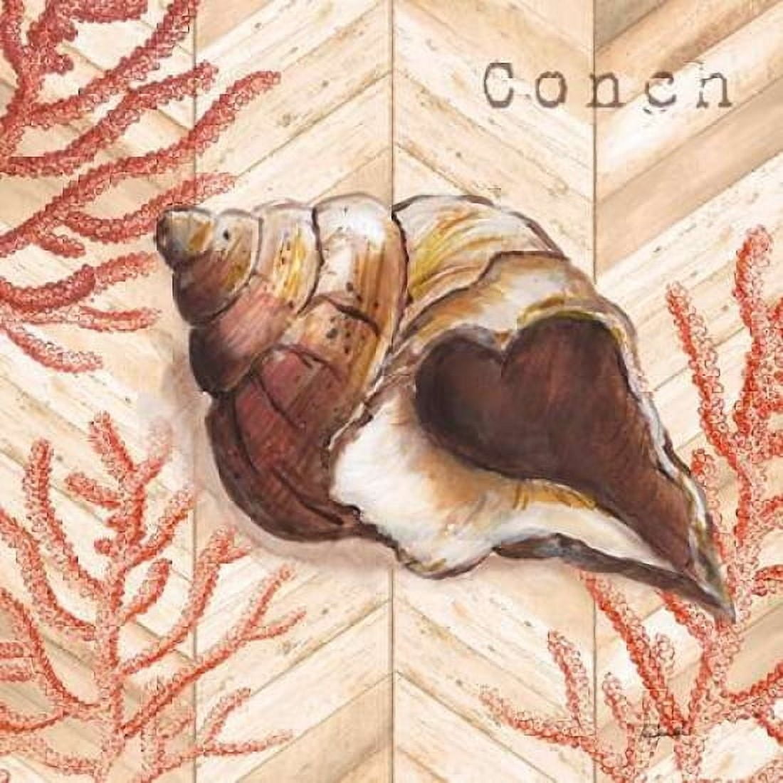 Chevron Shells Coral I Canvas Art - Tre Sorelle Studios (24 x 24)