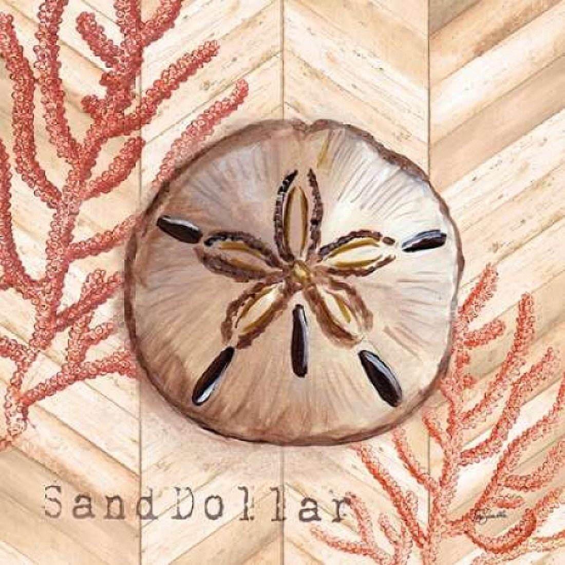 Chevron Shells Coral II Canvas Art - Tre Sorelle Studios (24 x 24)