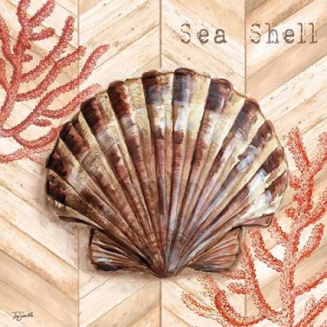 Chevron Shells Coral IV Canvas Art - Tre Sorelle Studios (24 x 24)