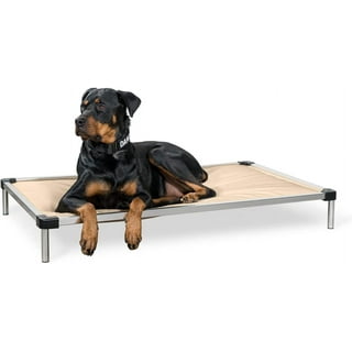 Canine ballistic bed online