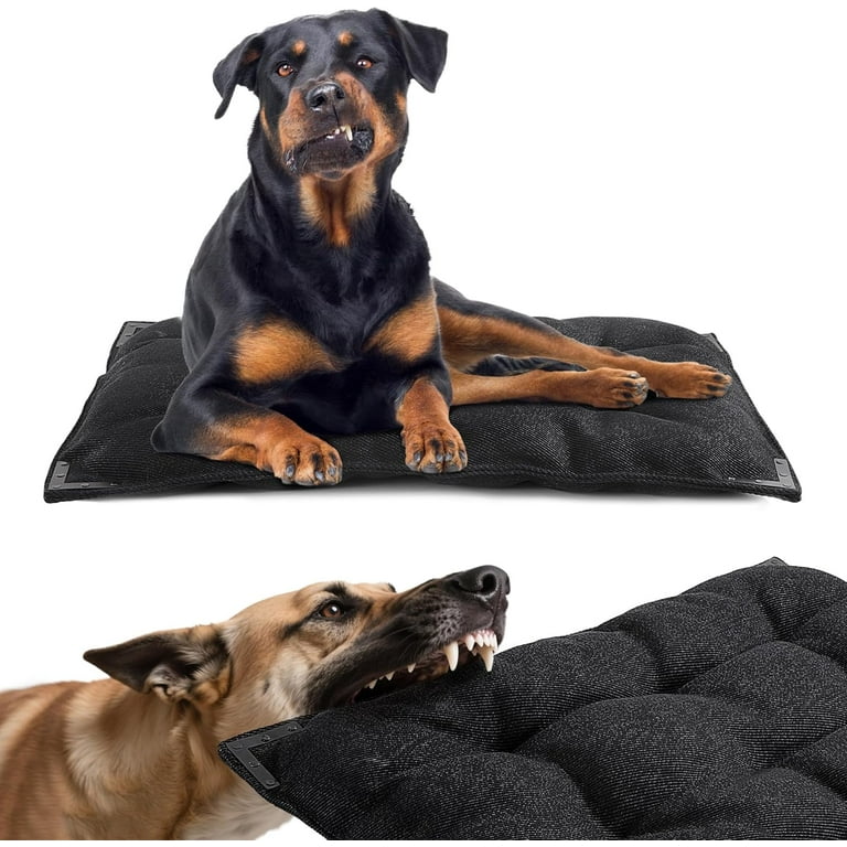 Chew Proof Dog Bed with Metal Rivet Corner for Medium Dogs, Stable