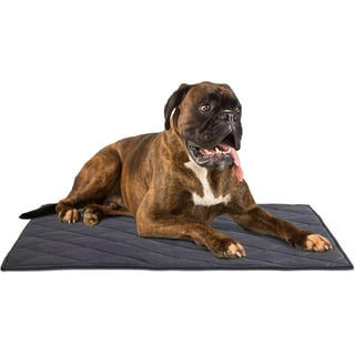 Best dog crate bed for chewers hot sale