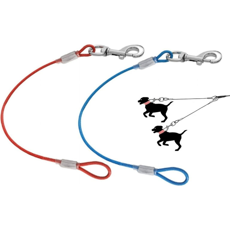 Non chew dog leash hotsell