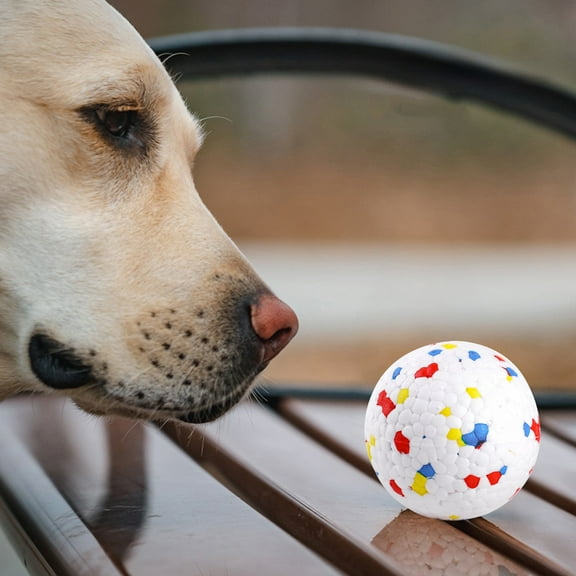 Chew-Resistant Plastic Ball For Dogs And Cats, Bouncing Pet Toy For Indoor And Outdoor Play, Safe And Durable Fetch Toy For Small Animals