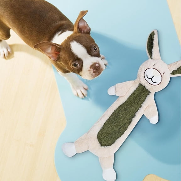 Chew Toys for Dogs Freely Unstuffed Crinkle Squeaky Interactive Puppy and Adult Dog Toy for Heavy Chewers – No Stuffing Toy for Large Medium Small Dogs, 60 cmx25 cm, Green