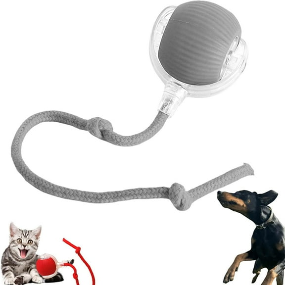 Chewie Ball, Chewie Viral Rolling Ball, Interactive Cat Ball Toy, Chewie Ball for Dogs, Chewie Smart Automatic Rolling Pet Ball, Automatic 360° Rotating Rolling Ball with USB Charging