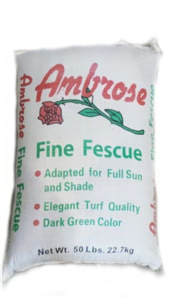 Chewing Fescue - 5 lbs.