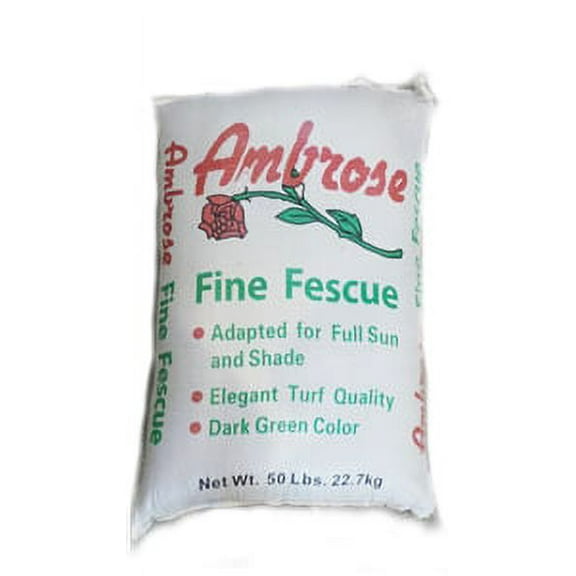 Chewing Fescue - 5 lbs.