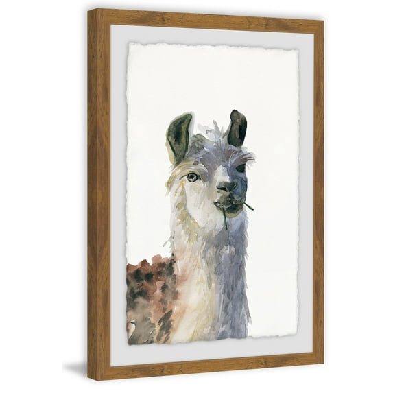 Chewing Llama Framed Painting Print