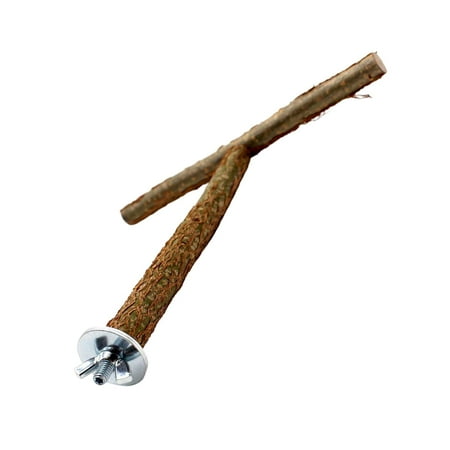 Chewing Parrot Training Toy Bird Cage Accessories Paw Grinding Natural Branches
