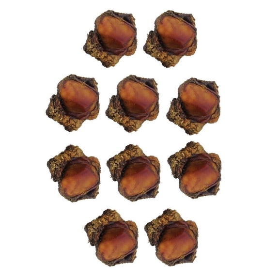 Chews for Dogs All Natural Beef Smoked Knee Caps with Meaty Bits Bulk Packs (10 Knee Caps)