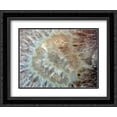 thumbnail image 1 of Chewy Minerals 2x Matted 24x20 Black Ornate Framed Art Print by De Carvalho, Sandro, 1 of 2