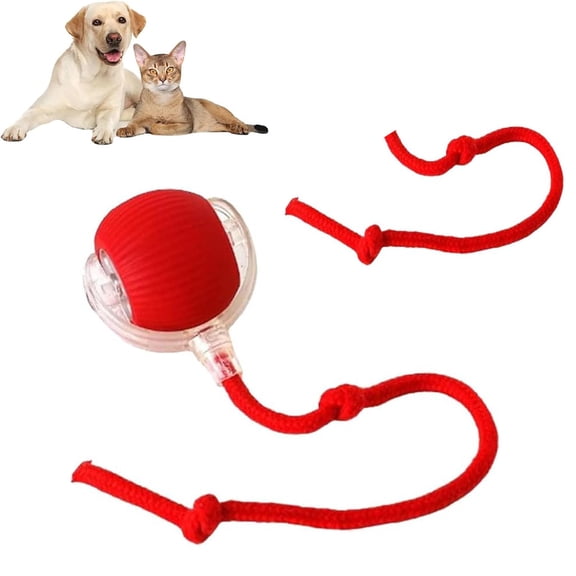 Chewy Viral Rolling Ball, Interactive Rolling Dog Ball, Viral Rolling Ball For Dogs, Viral Rolling Ball Dog Toy, 360° Smart Automatic Rolling Pet Ball, Interactive Cat Toys Ball For Indoor
