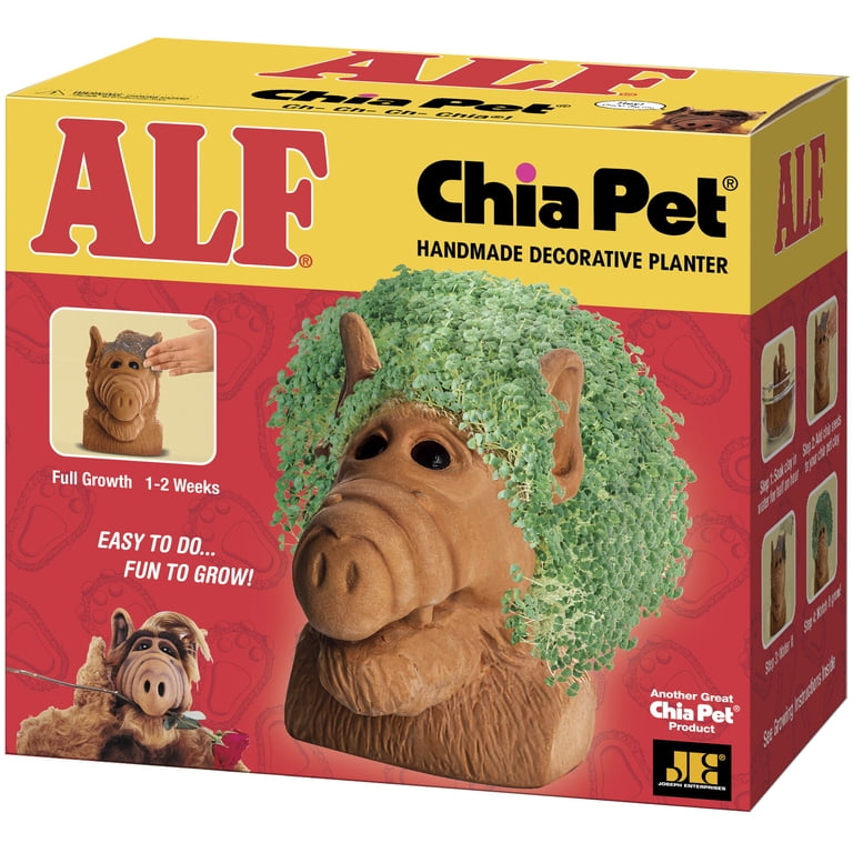 チチャリート＆ポグバ セット Chia Pet Alf Decorative Planter - Handmade Terracotta, Includes