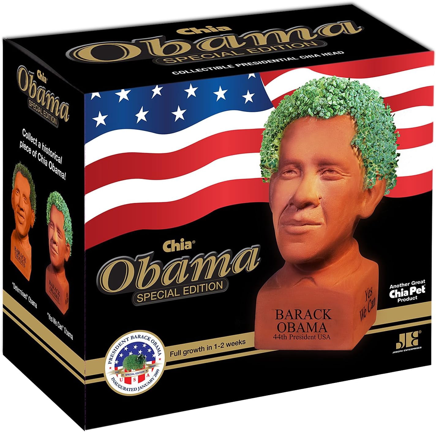 Chia Pet Barack Obama Special Edition Political Junkie Decorative Pottery Planter