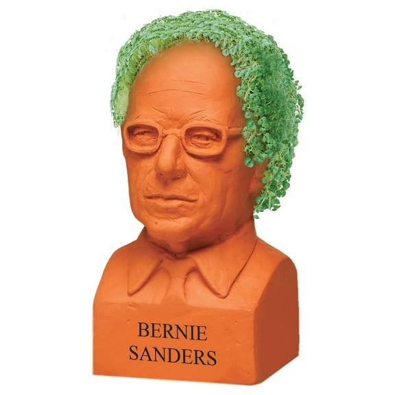 Bernie Sanders Chia Pet Handmade Decorative Planter by JEI