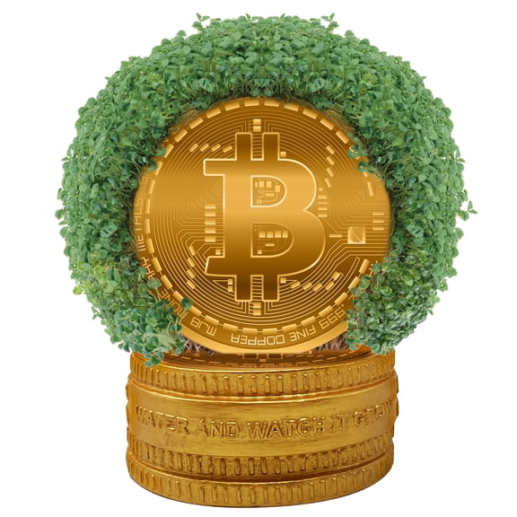 Bitcoin Chia Pet Handmade Decorative Planter by JEI